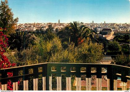 CPM Meknes Vue generale