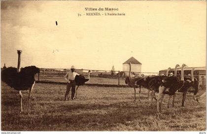 CPA MOROCCO VILLES DU MAROC (114763)