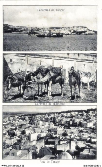 MAROC - PANORAMA DE TANGER + CARAVANE DE CHAMEAUX et VUE DE TANGER