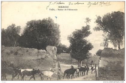 CPA Taza - Retour à l´abreuvoir