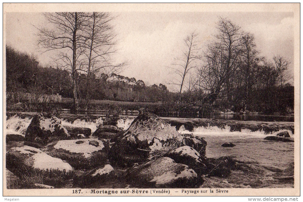 Mortagne sur Sèvre : paysage sur la Sèvre