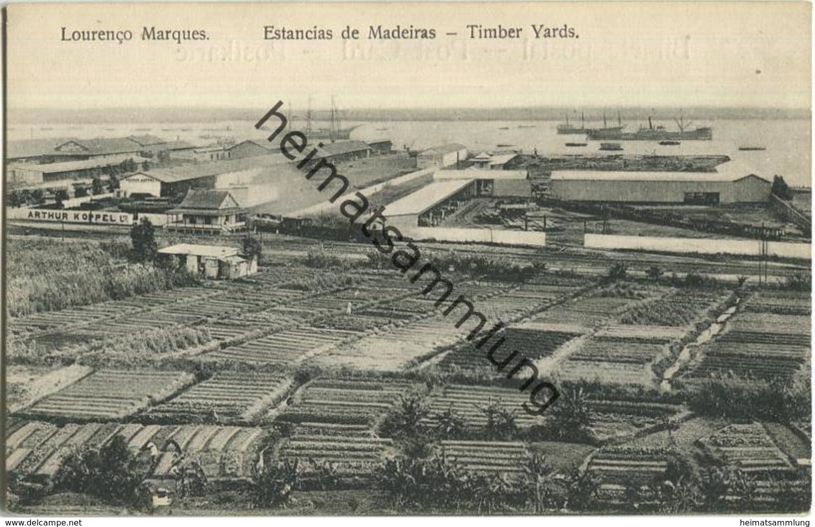 Mosambik - Mocambique - Lourenco Marques - Estancias de Madeiras - Timber Yards
