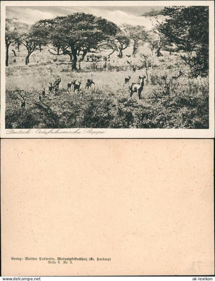 .Mosambik Moçambique Deutsche Kolonien Deutsch Ostafrika Steppe 1918