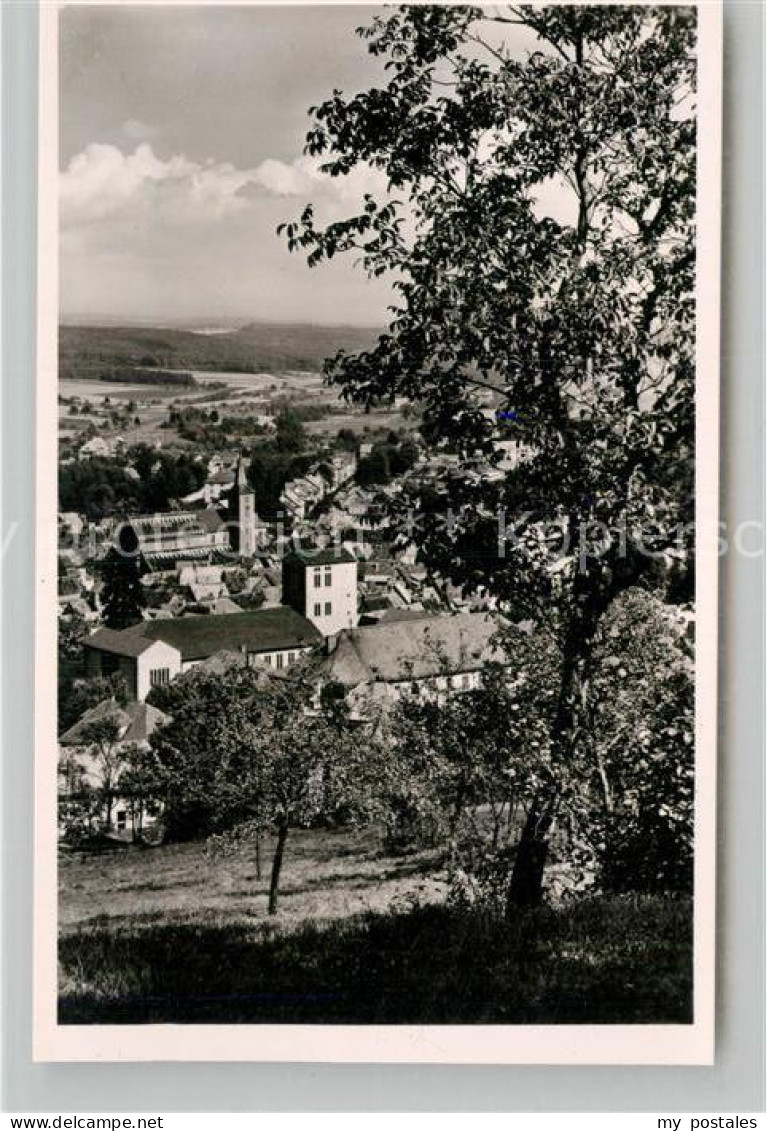 Mosbach Baden Teilansicht