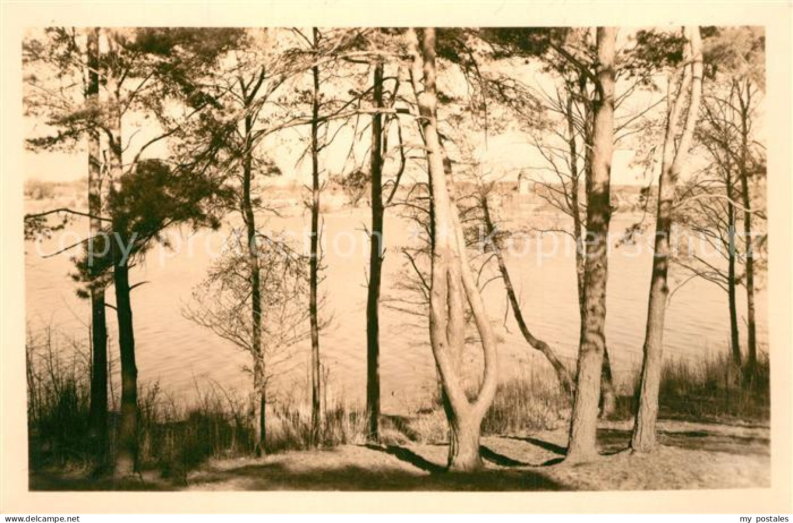 Motzen Mittenwalde Mark Panorama