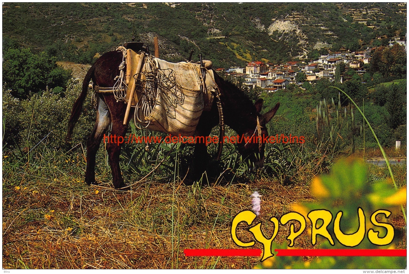 Mountain village and local transport - Cyprus