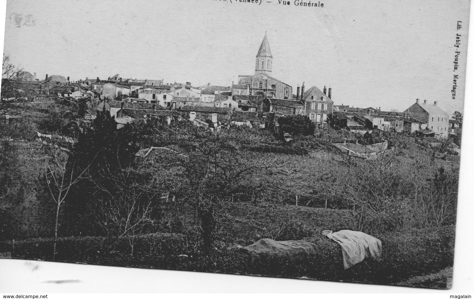 Moutiers les Mauxfaits : vue générale