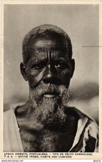 PC MOZAMBIQUE, TIPO DE VÉLHO ZAMBEZIANO, VINTAGE POSTCARD (b20784)