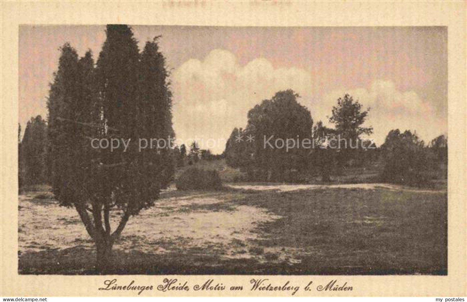 Mueden oertze Heide Fassberg CELLE Niedersachsen Lueneburger-Heide Wietzerberg W