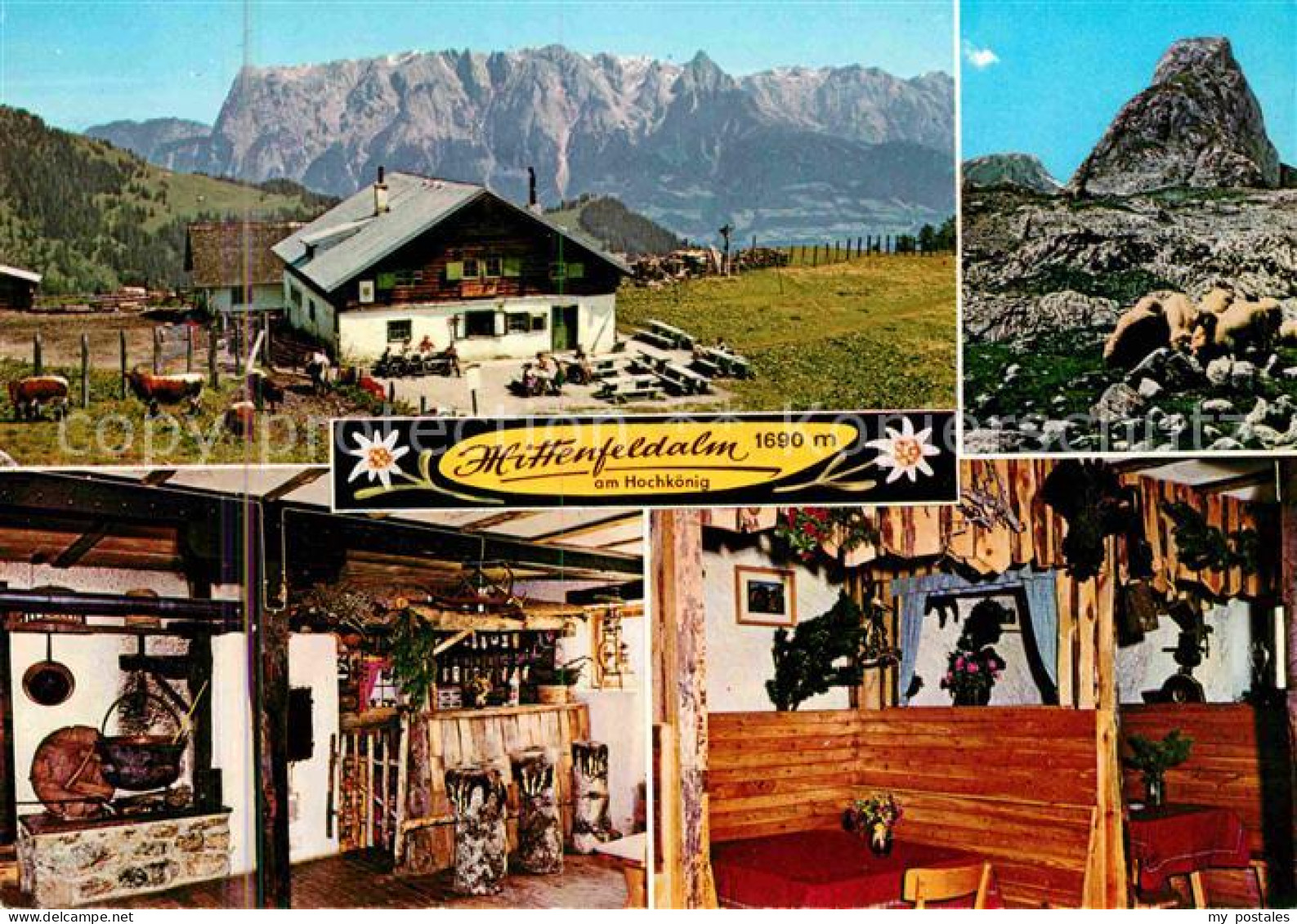 Muehlbach Hochkoenig Mittenfeldalm Ausflugsziel am Hochkoenig Alpenpanorama