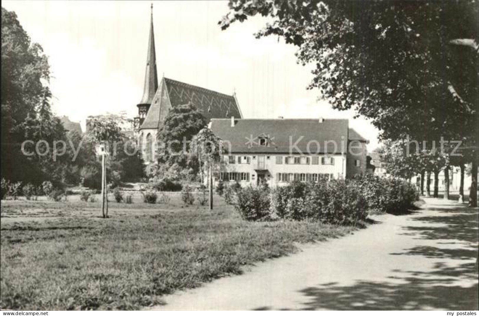 Muehlhausen Thueringen Petriteich