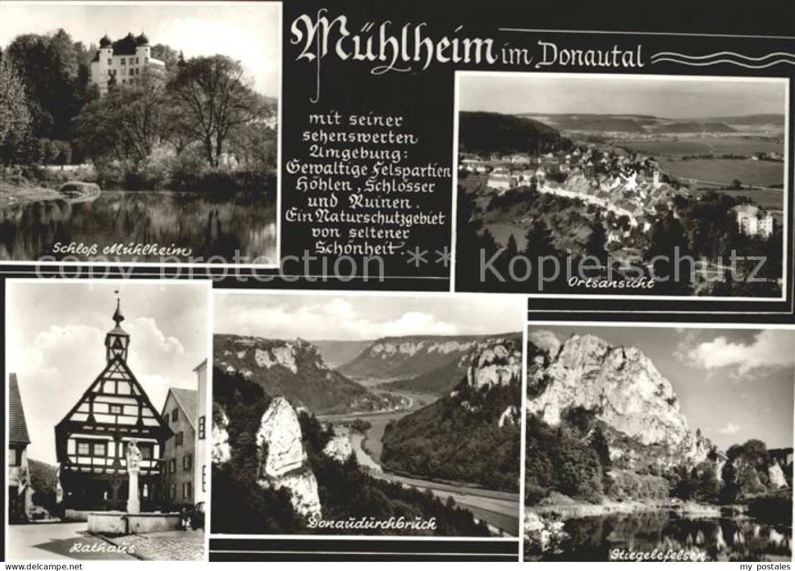 Muehlheim Donau Schloss Muehlheim Rathaus Stiegelefelsen