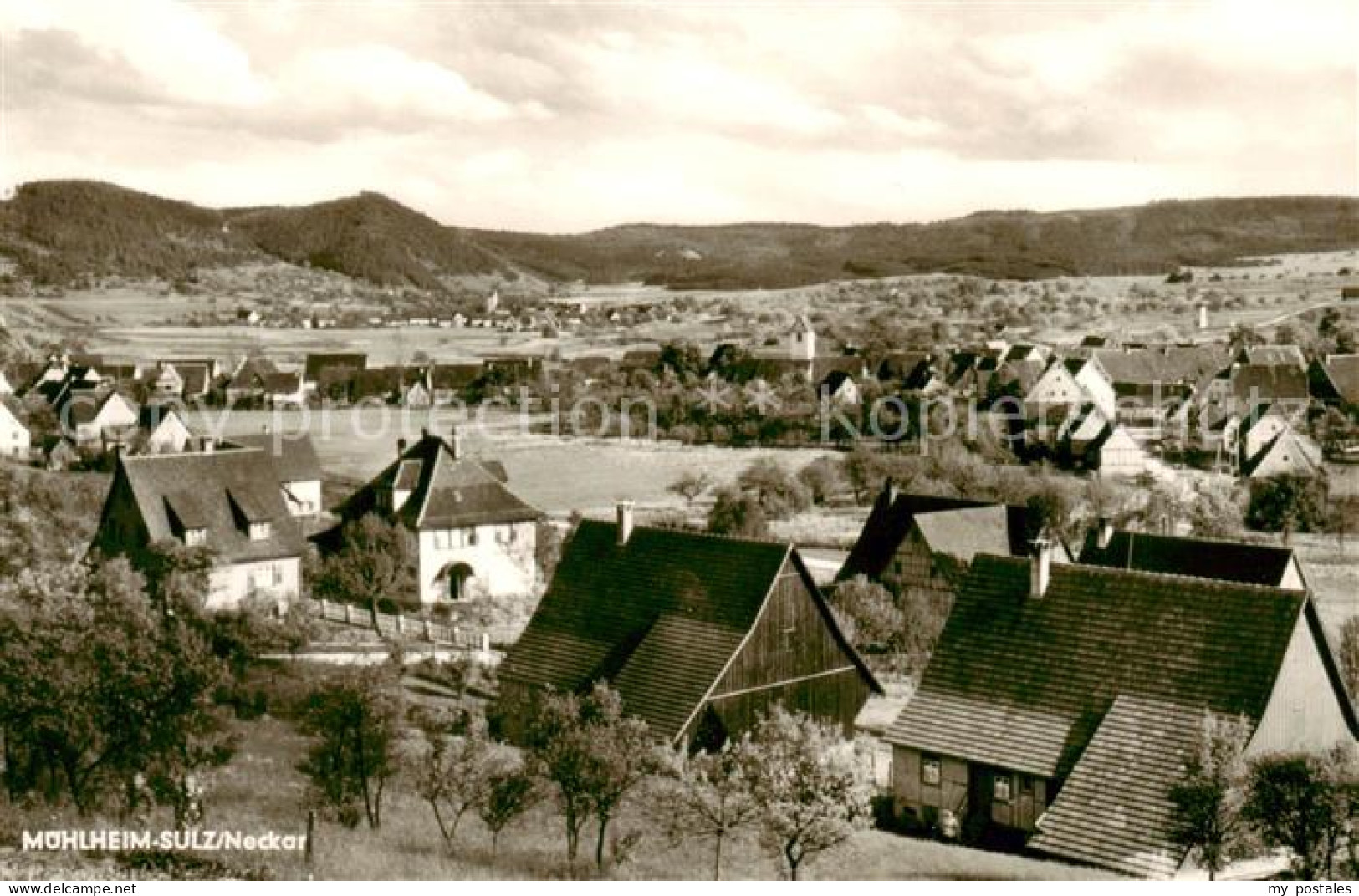Muehlheim Sulz Neckar Panorama