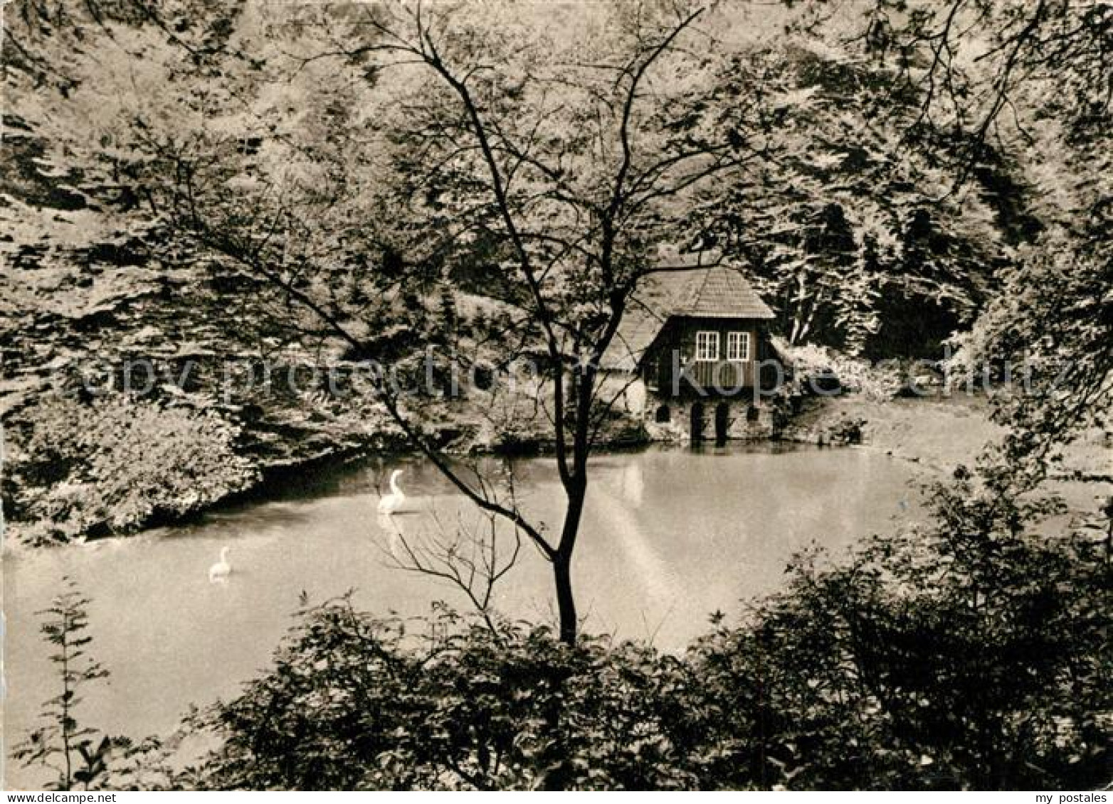 Muelheim Ruhr Witthausbusch