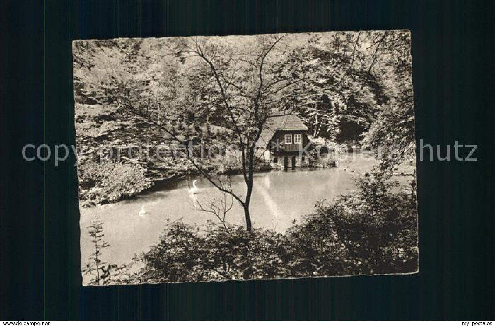 Muelheim Ruhr Witthausbusch