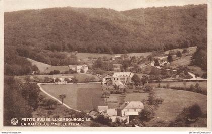 [-15%] LUXEMBOURG - Muellerthal - Petite suisse Luxembourgeoise - La Vallée du "Mullerthal" - Carte Postale Ancienne