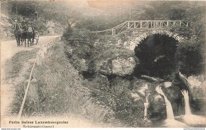 [-15%] LUXEMBOURG - Muellerthal - Schiessentümpel - Cascade - pont - calèche - cocher - Emile Zenner - Carte postale anc