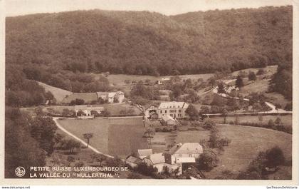 [-5%] LUXEMBOURG - Muellerthal - Petite suisse Luxembourgeoise - La Vallée du "Mullerthal" - Carte Postale Ancienne