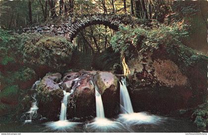 [-5%] LUXEMBOURG - Müllerthal - Schiessentümpel - Carte Postale