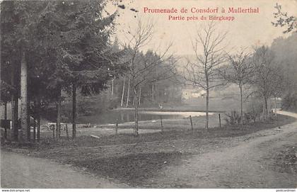 Luxembourg - Promenade de Consdorf à Mullerthal - Partie près du Burgkapp - Ed. P. C. Schoren 59