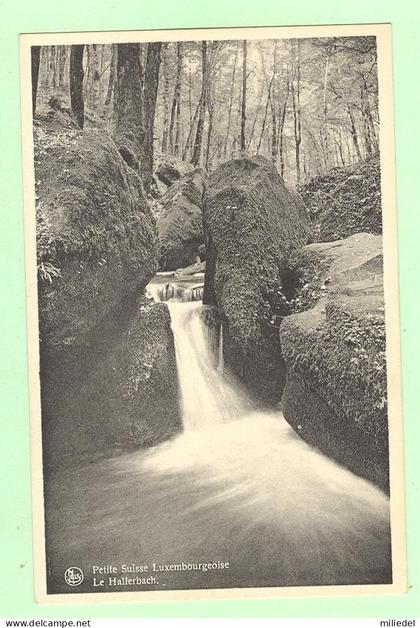 W1332 - LUXEMBOURG - Muellerthal - Petite Suisse Luxembourgeoise - Le Hallerbach