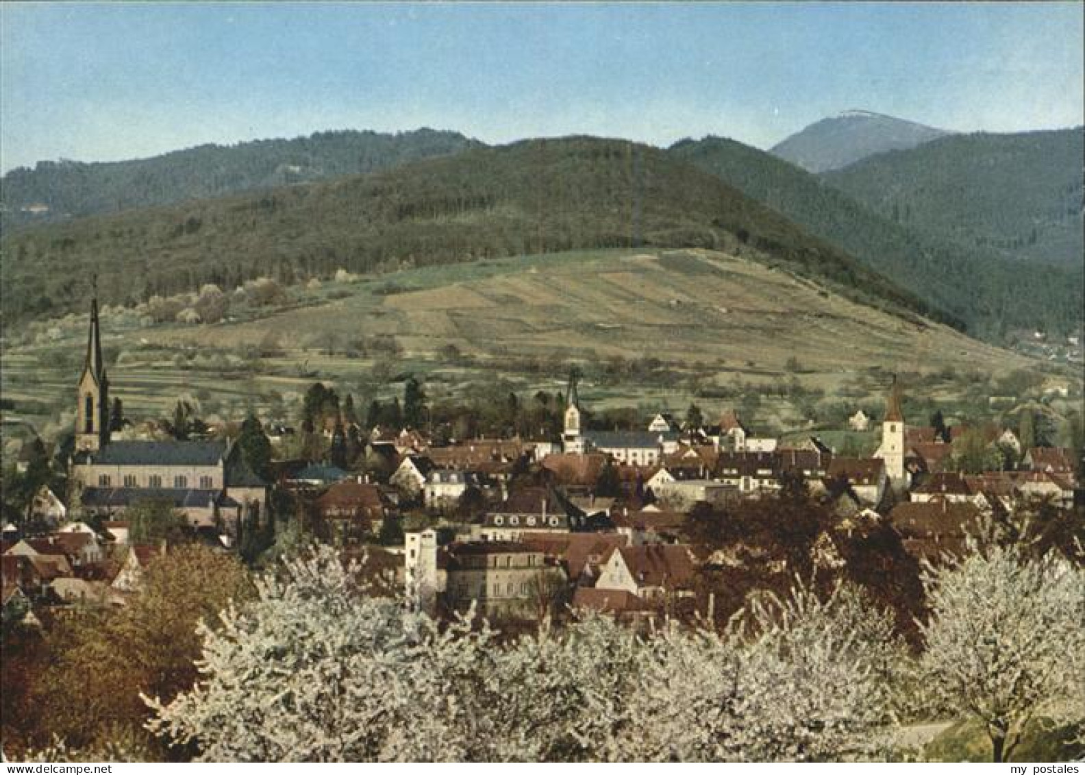 Muellheim Baden Belchenblick