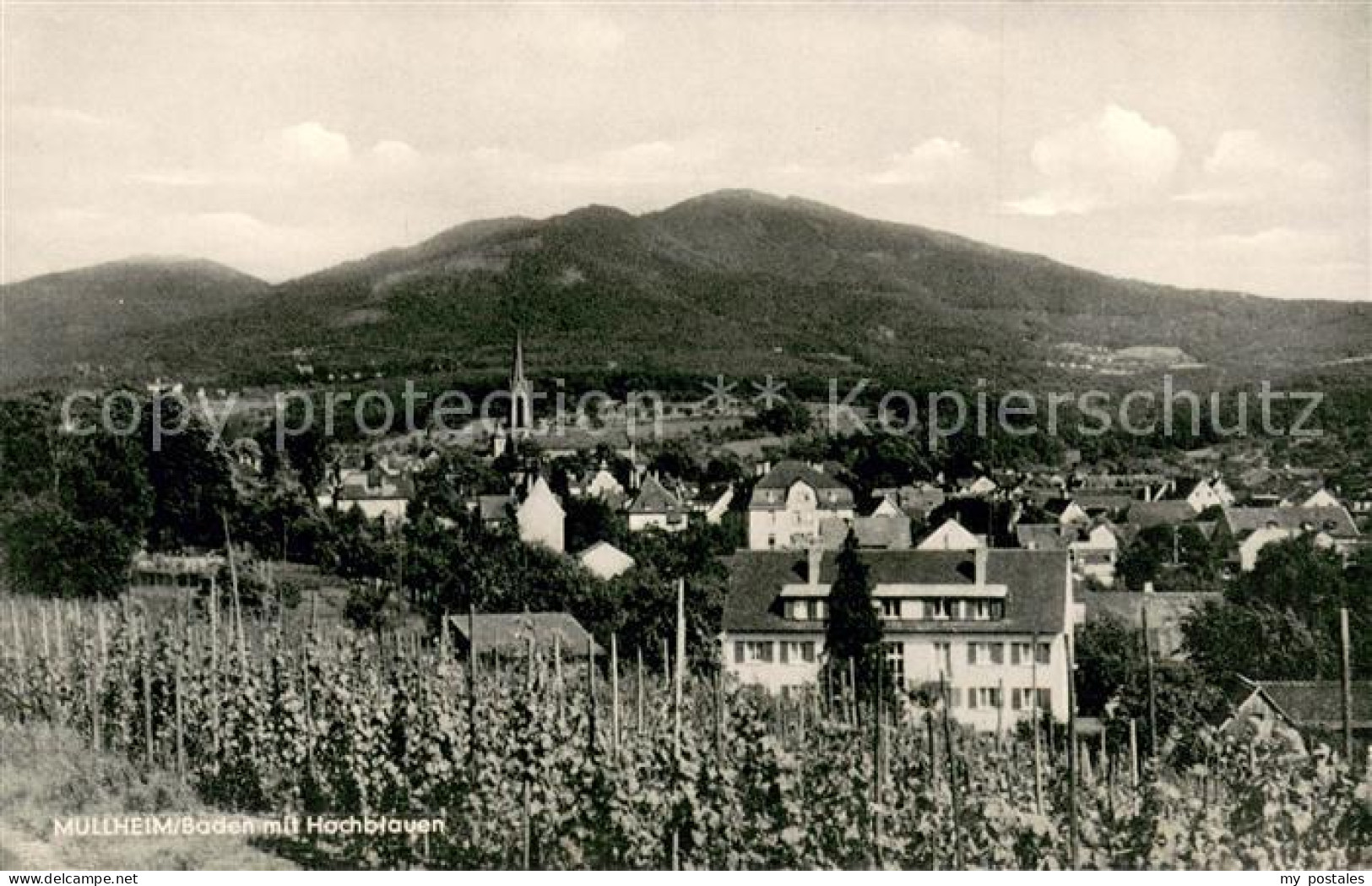 Muellheim Baden mit Hochblauen