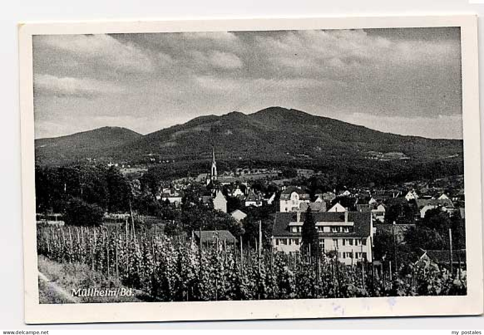 Muellheim Baden Muellheim