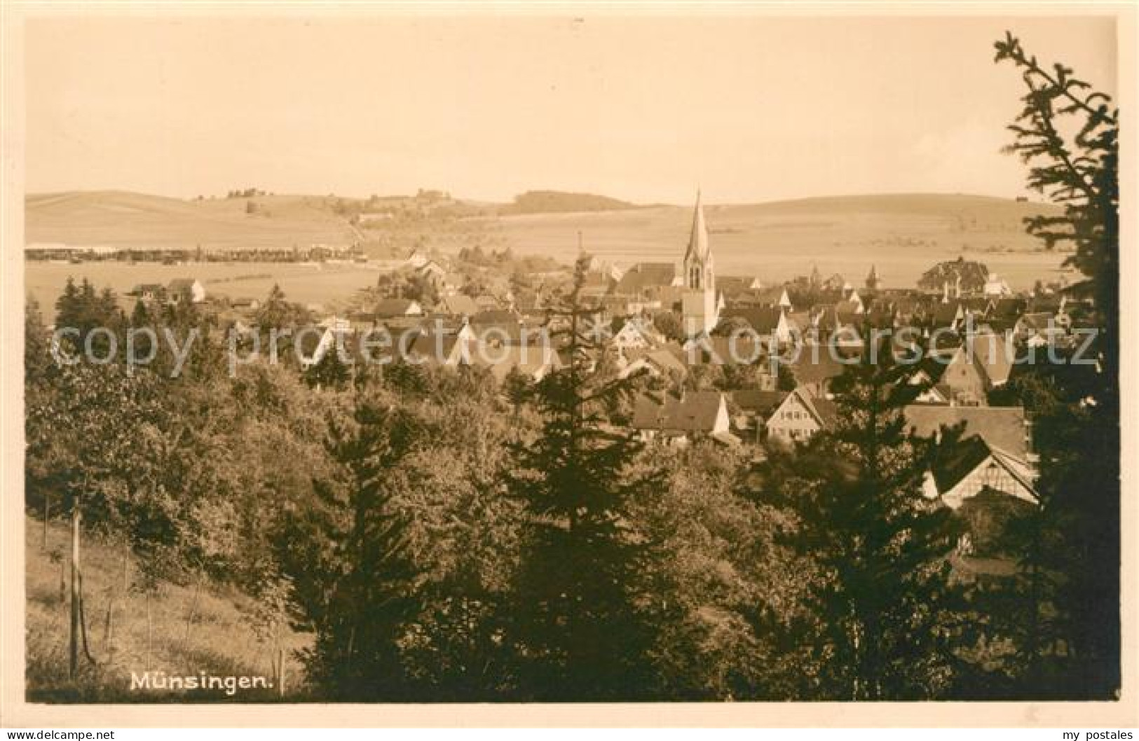 Muensingen Panorama