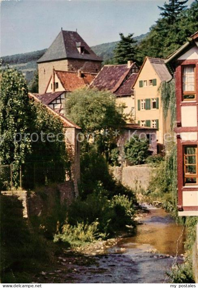 Muenstereifel Bad Erftpartie