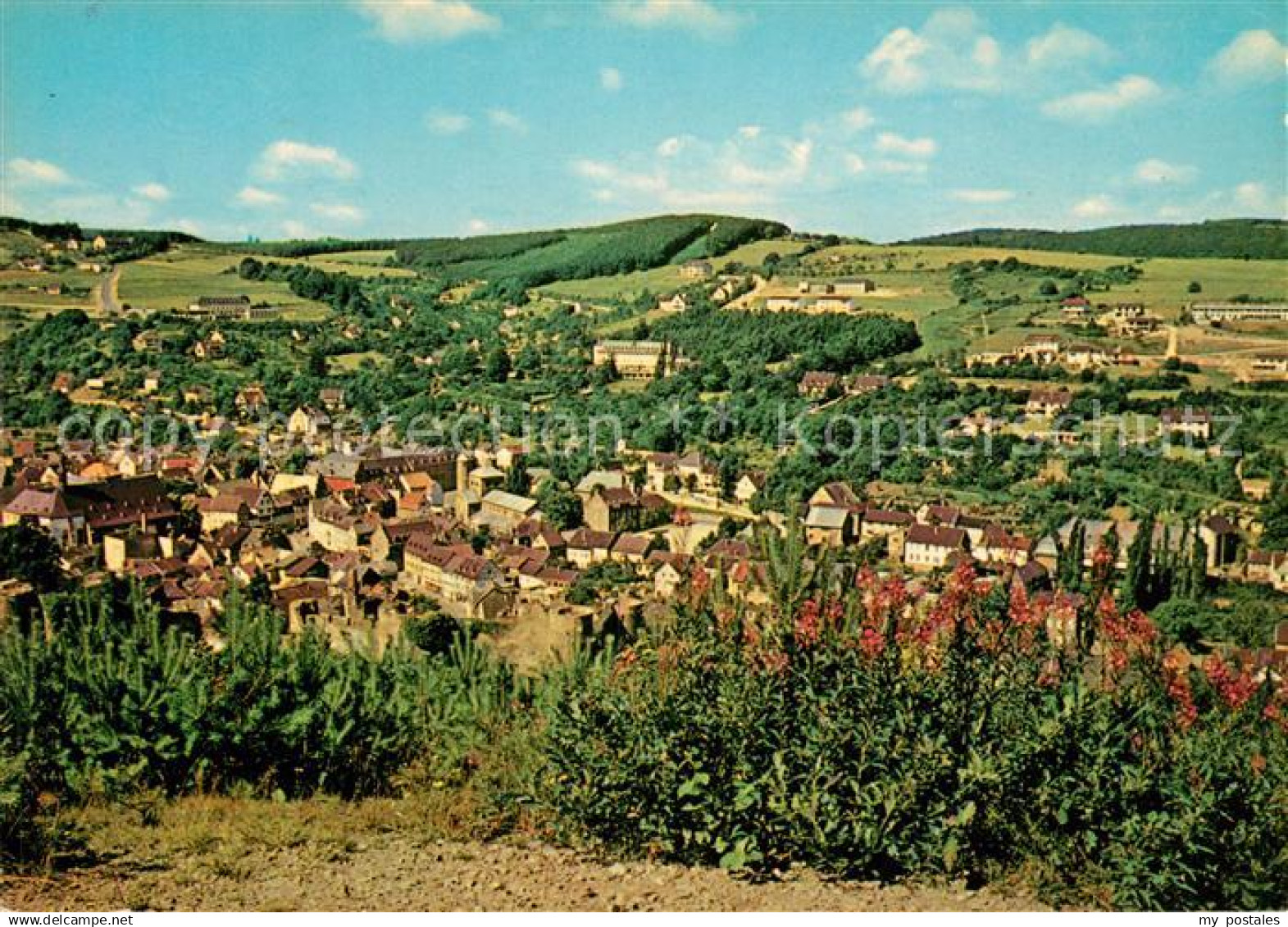 Muenstereifel Bad Panorama