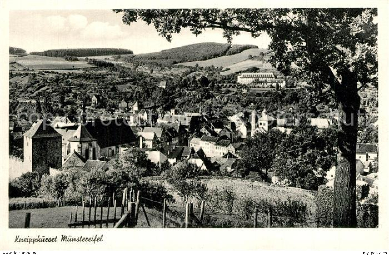 Muenstereifel Bad Panorama