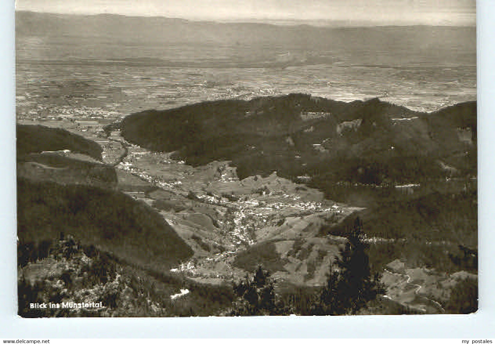 Muenstertal