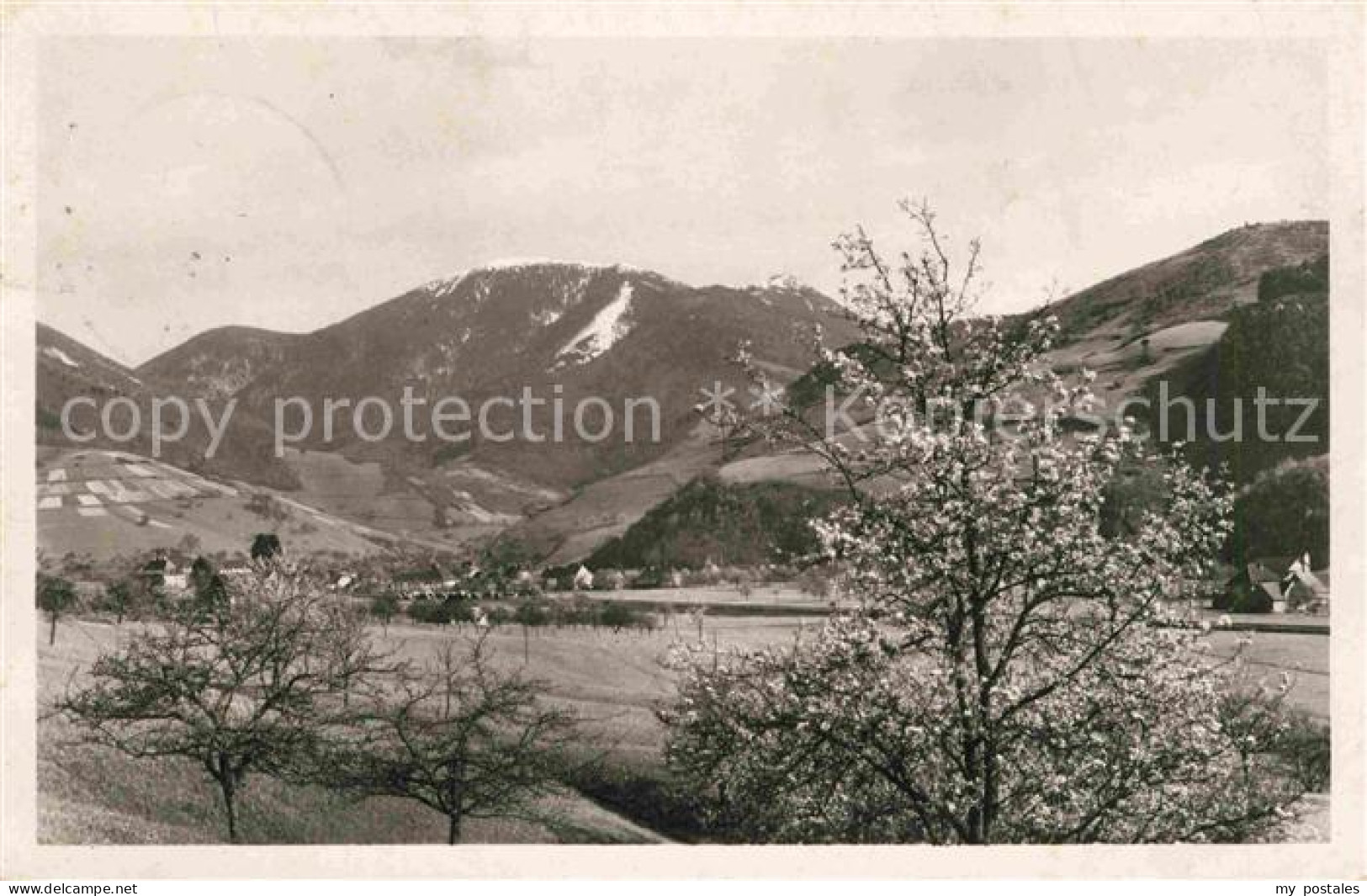 Muenstertal Schwarzwald Belchen