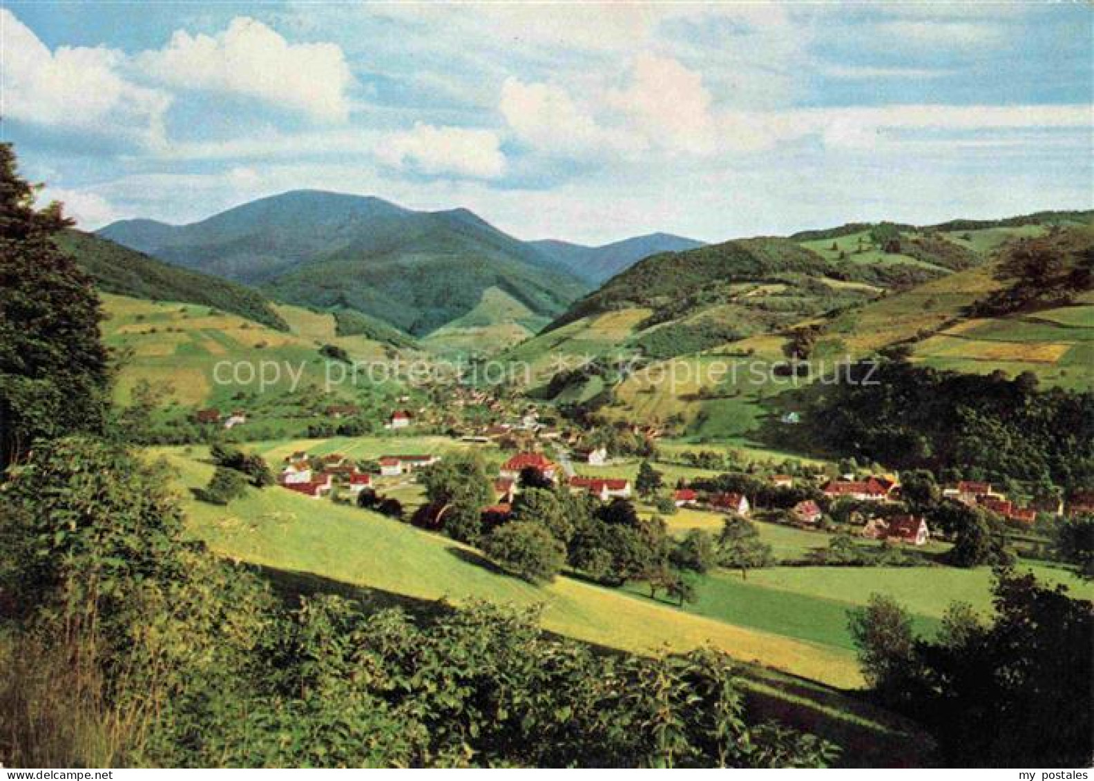 Muenstertal  Schwarzwald BW Panorama