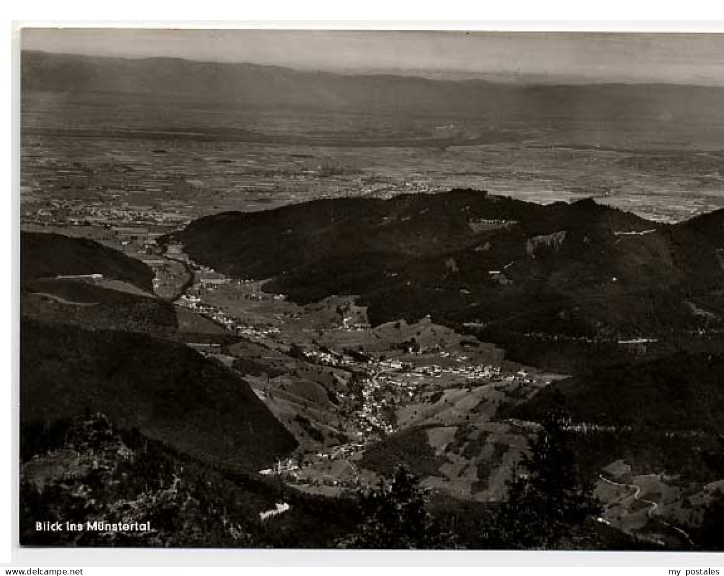 Muenstertal Schwarzwald Muenstertal Schwarzwald
