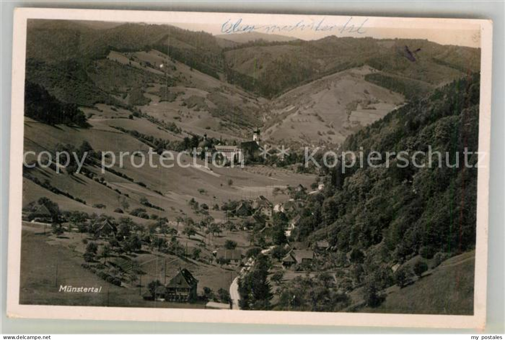 Muenstertal Schwarzwald Panorama