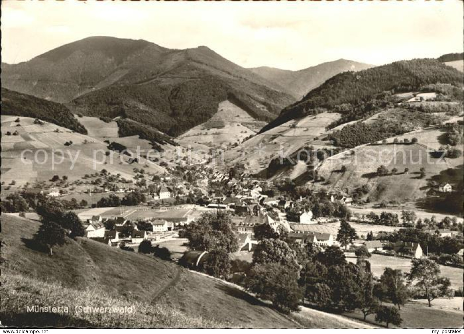 Muenstertal Schwarzwald Panorama