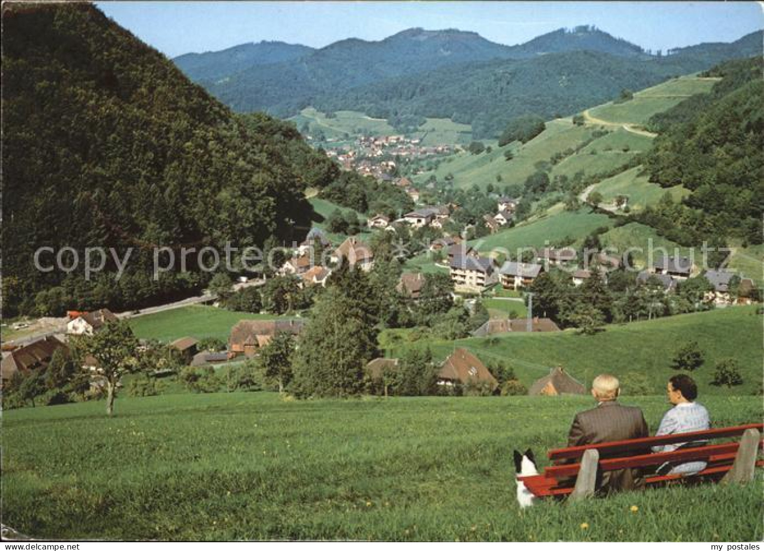 Muenstertal Schwarzwald Teilansicht