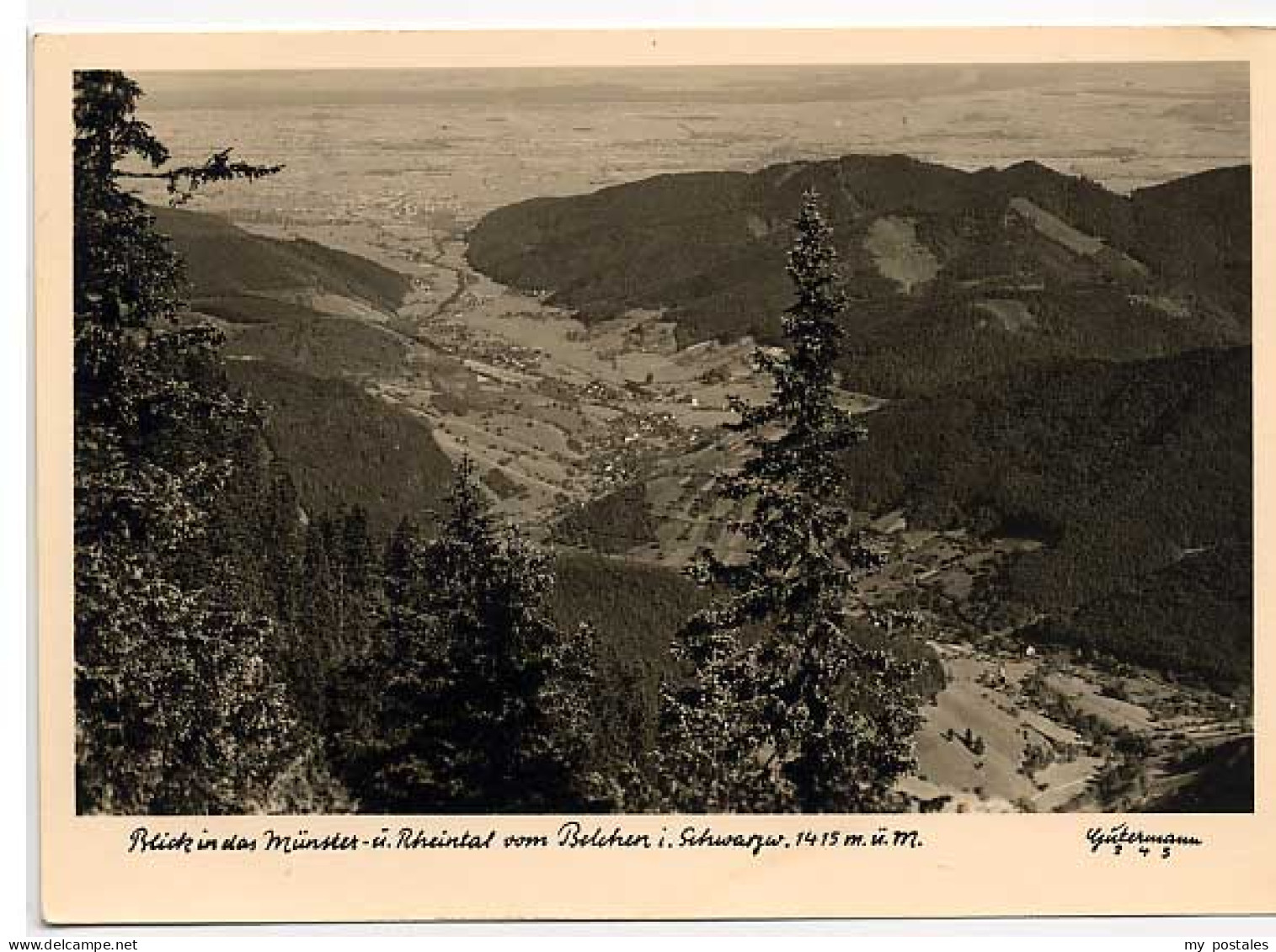 Muenstertal Schwarzwald x 1966