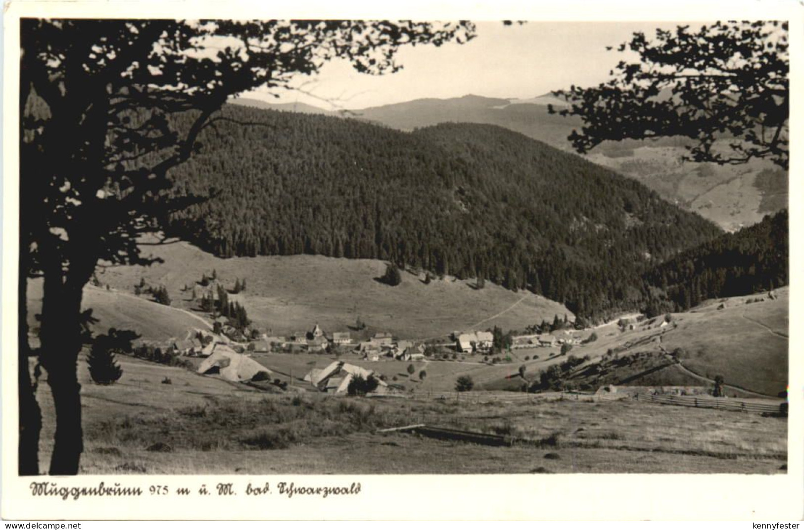 Muggenbrunn Schwarzwald - Todtnau