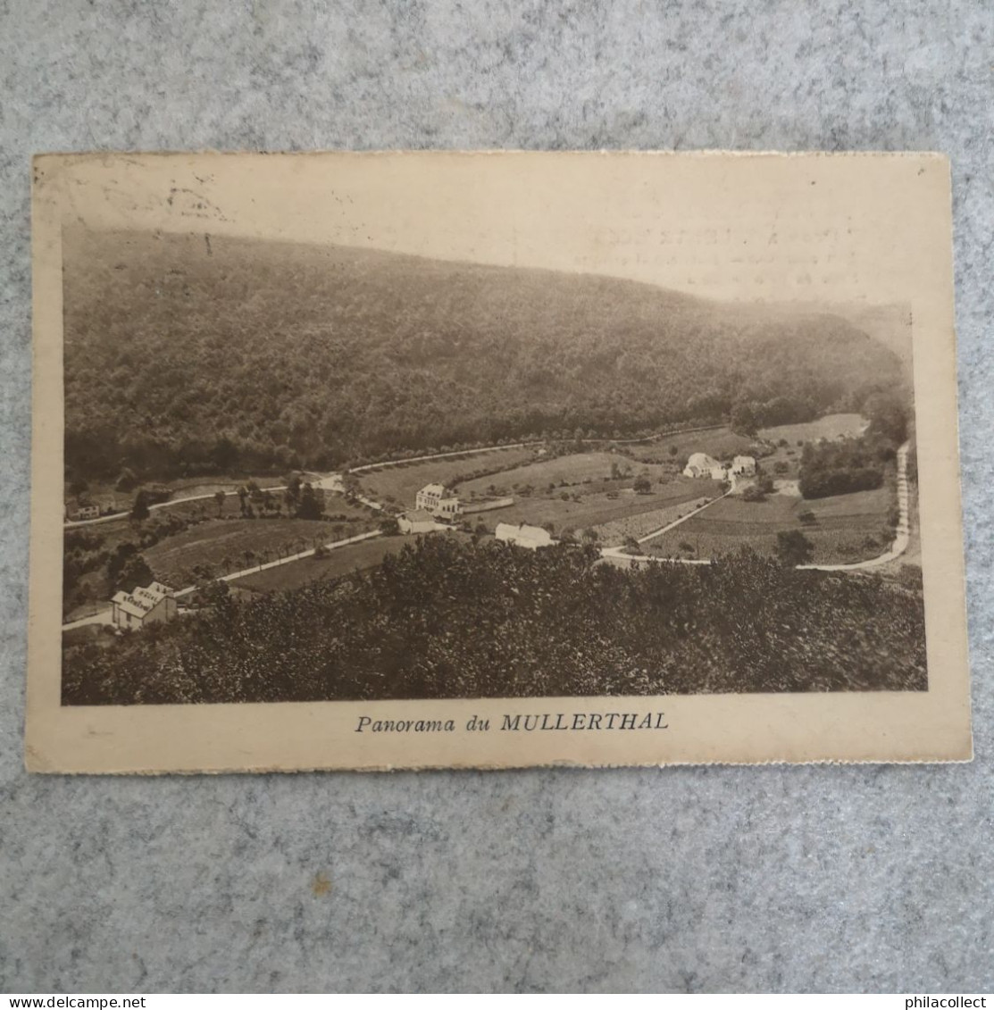 Mullerthal (G-D. Luxembourg) Panorama (Promo karte Grand Hotel Central) 19??