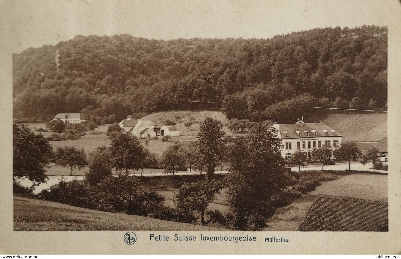 Müllerthal (Luxembourg) Panorama 1933 Nels