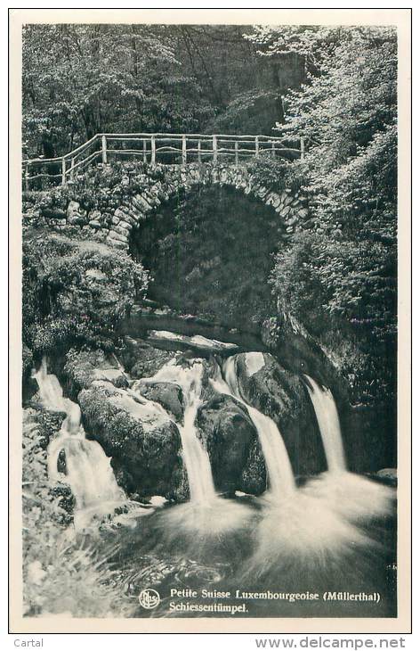 MÜLLERTHAL - Schiessentümpel