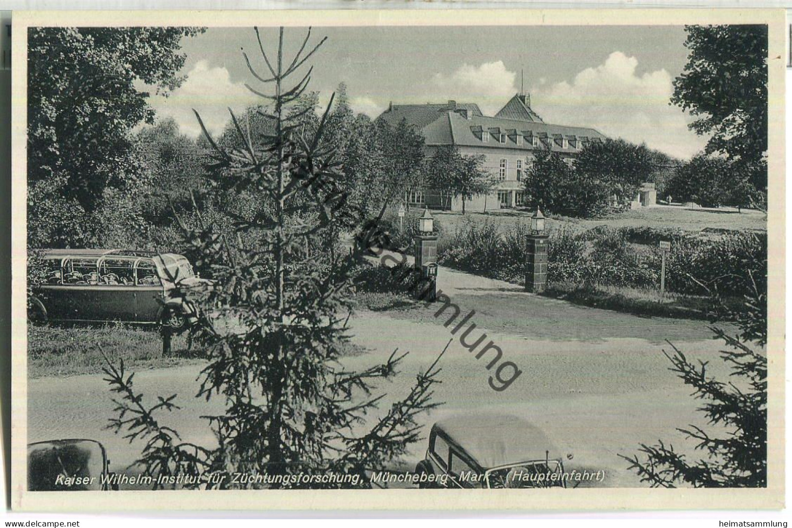 Müncheberg - Kaiser Wilhelm Institut für Züchtungsforschung - Omnibus - Verlag W. Meyerheim Berlin 1937