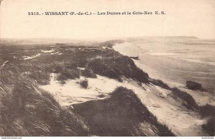 A825 France Wissant Les Dunes et Gris-Nez vintage postcard