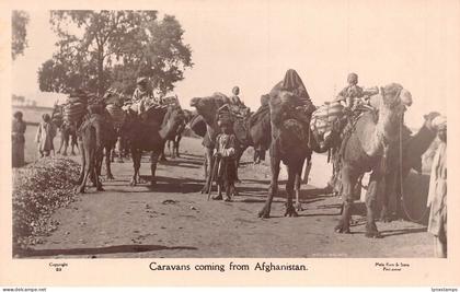 A831 Afghanistan Caravans Coming Camels Ethnic Native Boys RPPC postcard