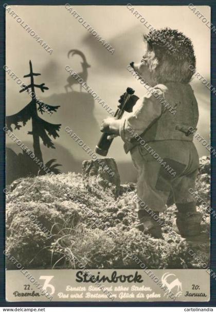 Austria Korneuburg Steinbock STRAPPO foto FG cartolina BB7871