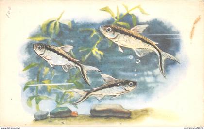 B27602 Poissons Fish Russia