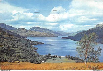 B87185 loch lomond dunbartonshire   scotland